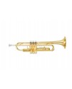 OTTNORTH 降B調 小號 trumpet